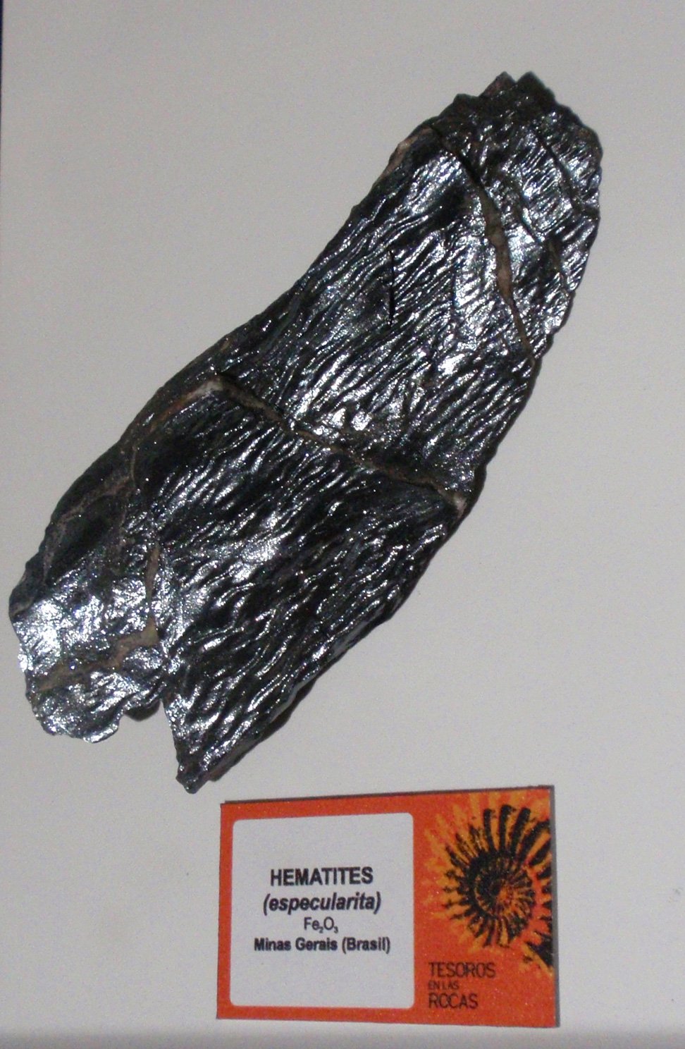 Museo Elder de la Ciencia y la Tecnología