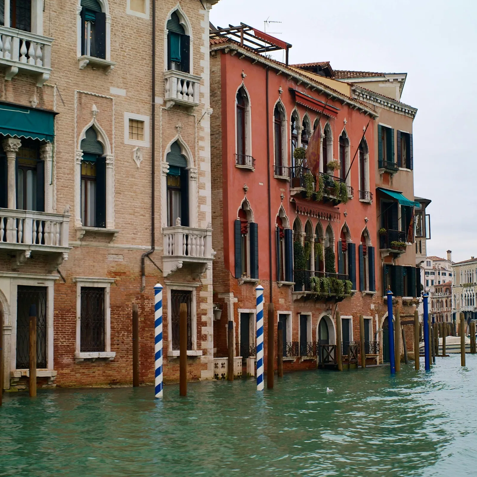EL TARBOUCHE: Cuando un accesorio se convierte en símbolo