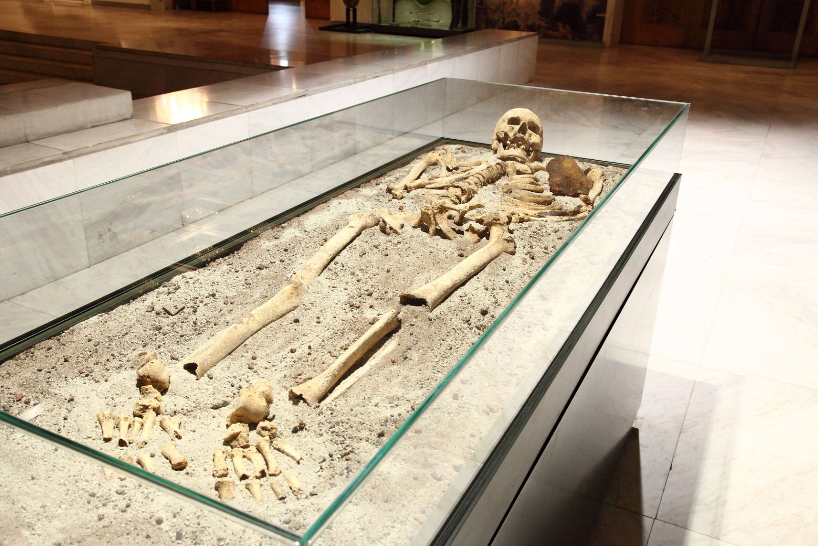 National History Museum