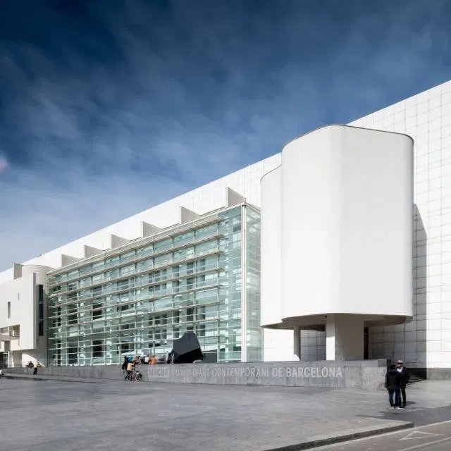 Como una Danza de Estorninos