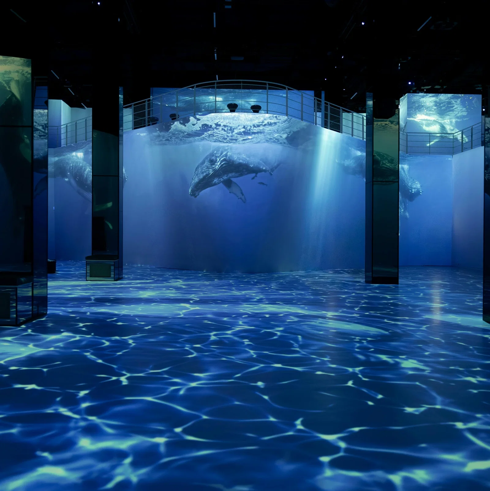 Ocean Wonders: An Immersive Dive