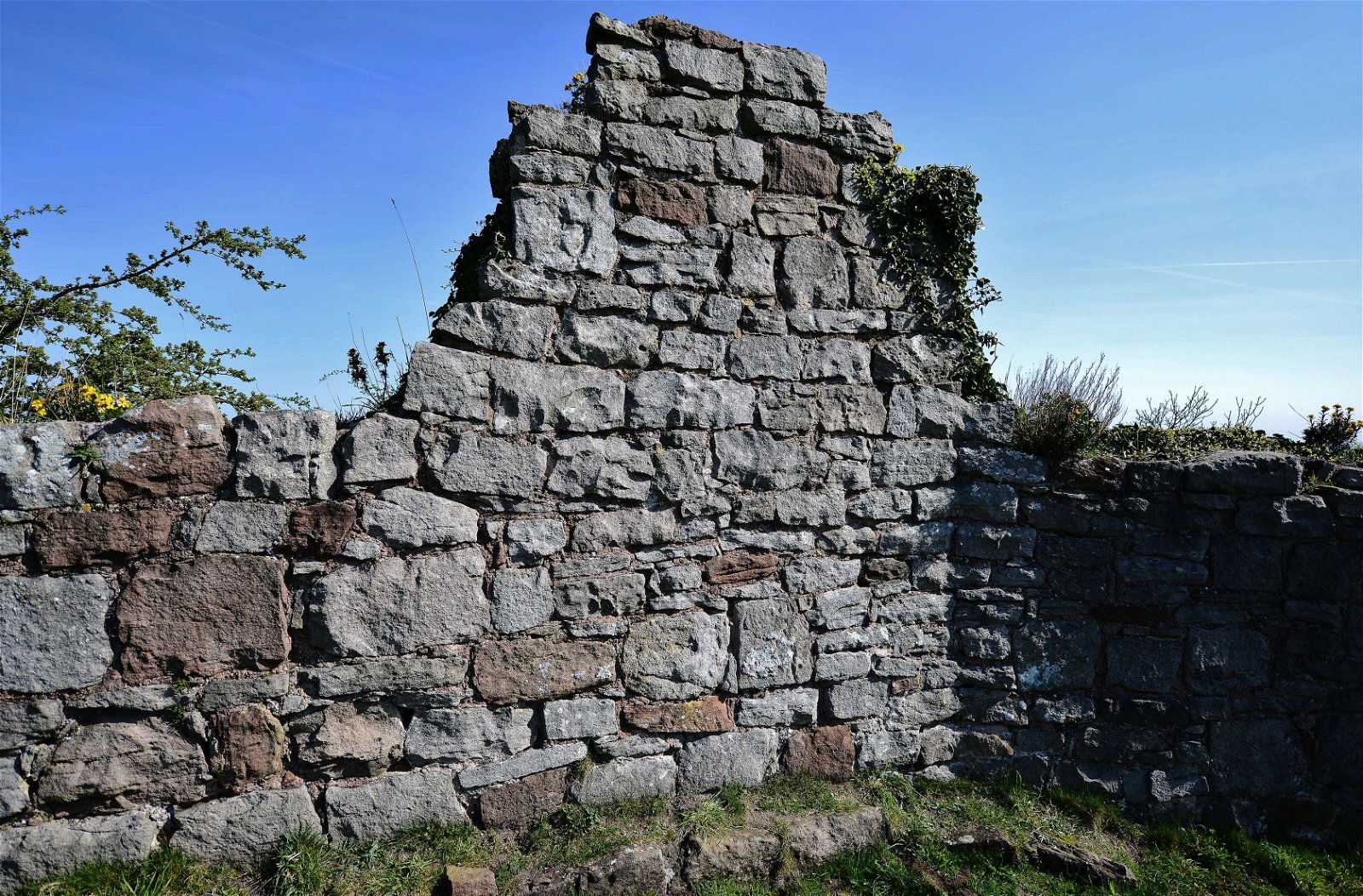 Beeston Castle and Woodland Park