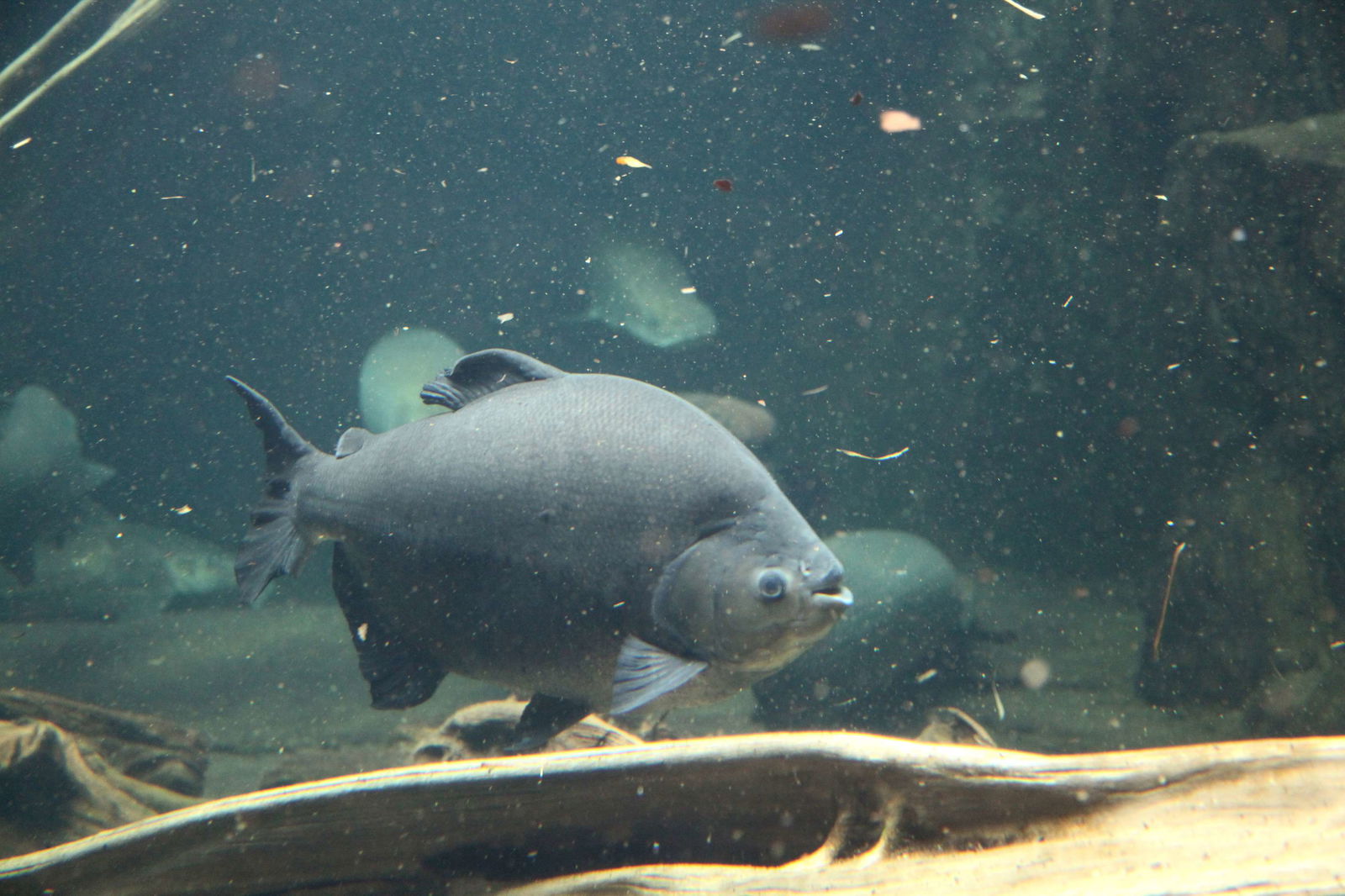 Zoologischer Garten Leipzig