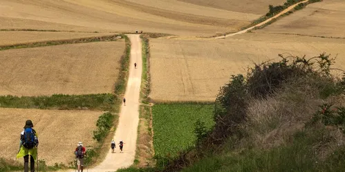 The Camino. The Journey of a lifetime