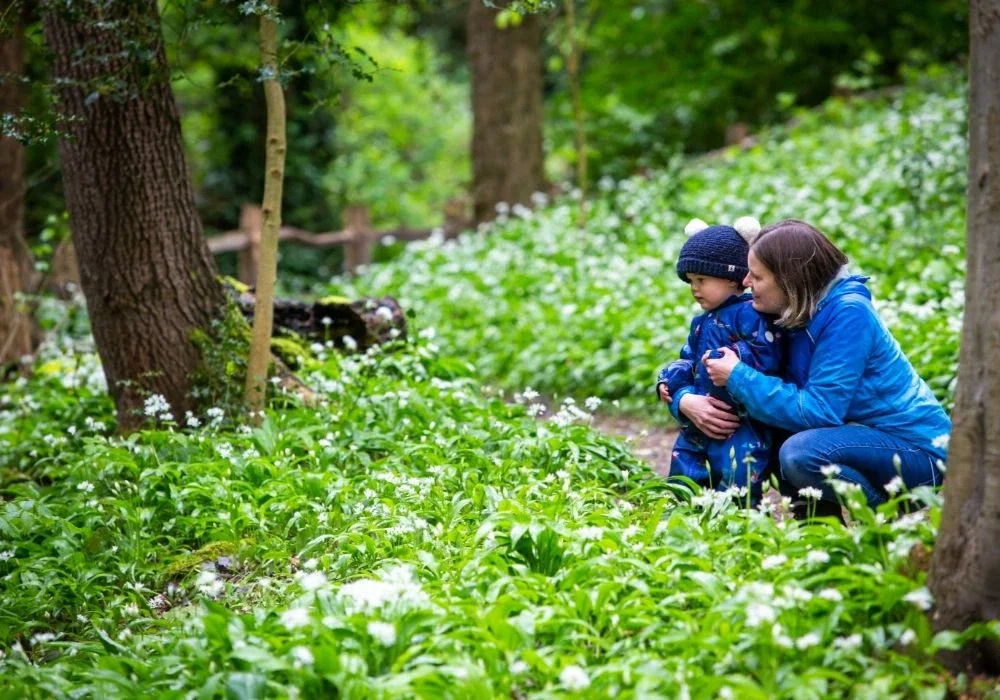 Plas Newydd, Llangollen