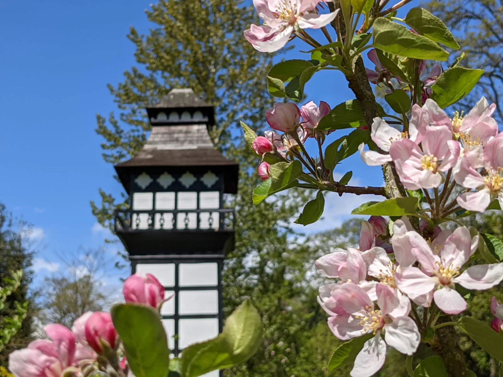 Plas Newydd, Llangollen
