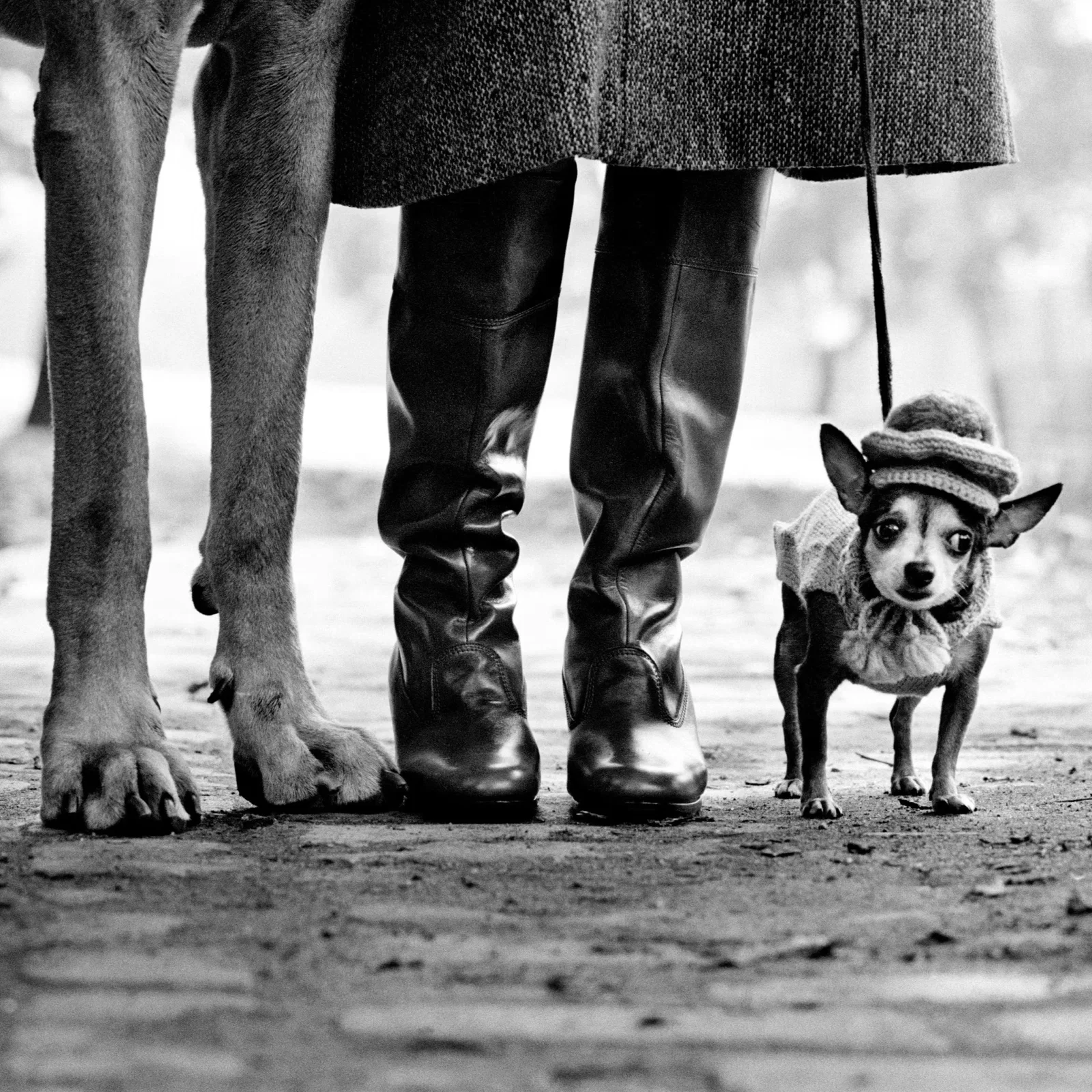 Elliott Erwitt: A través de los ojos juguetones de Elliott Erwitt