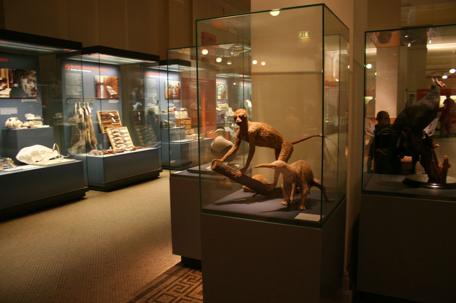 Museum für Naturkunde