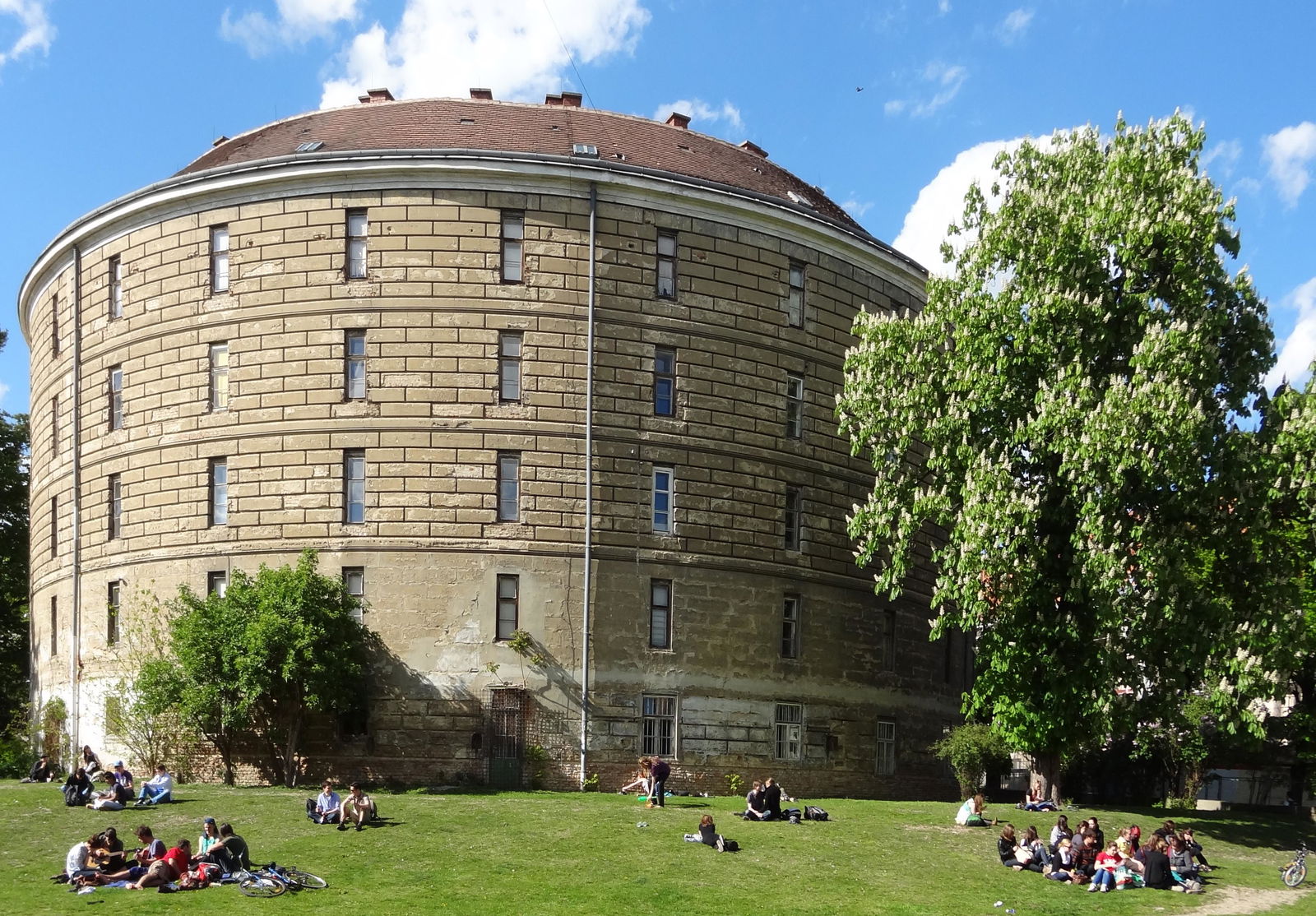 Pathologisch-anatomische Sammlung im Narrenturm - nhm