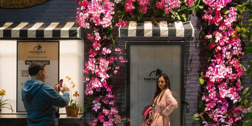 Les nuits des orchidées