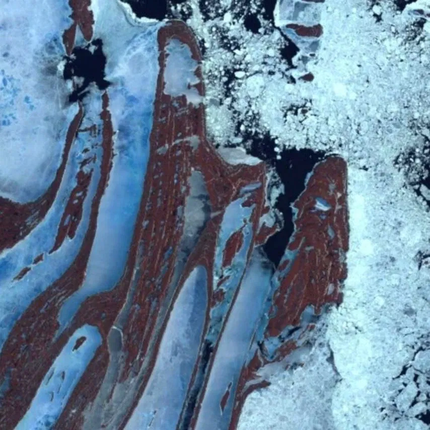 De kracht van kennis: Innovatie en gemeenschap