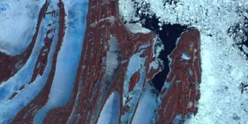 The Power of Knowledge: Innovation and Community