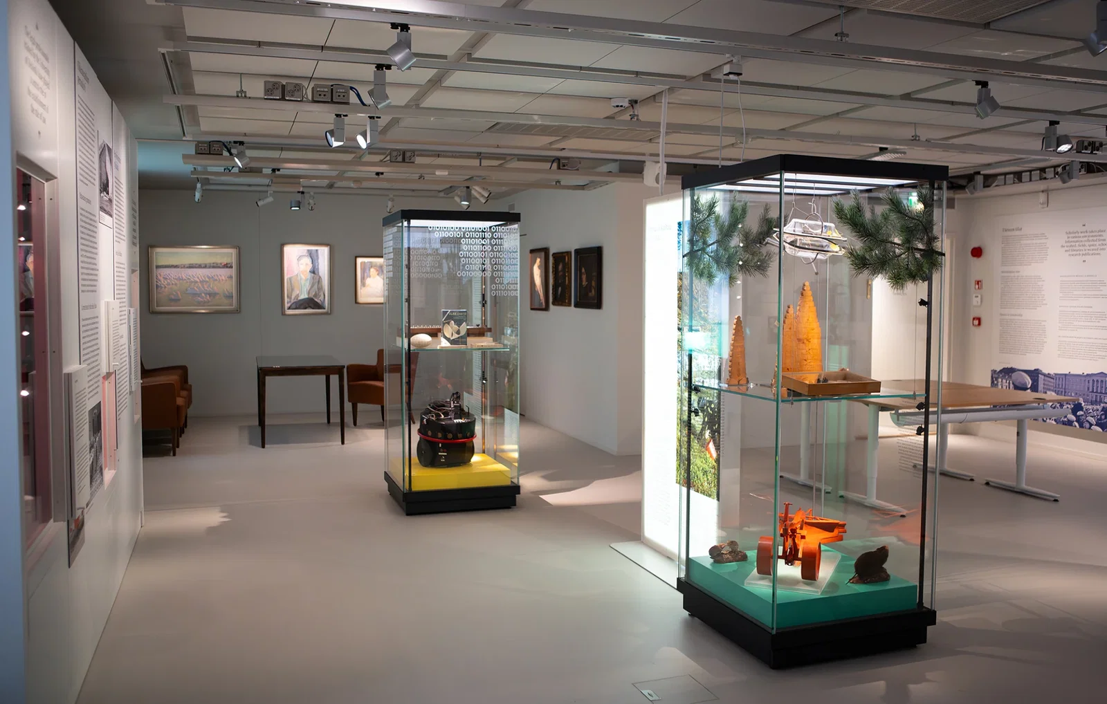 Helsinki University Museum Flame