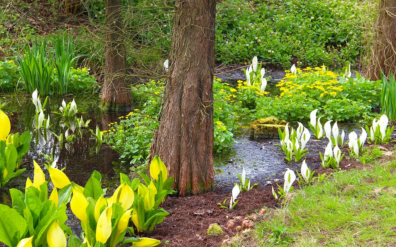 Utrecht Botanic Gardens