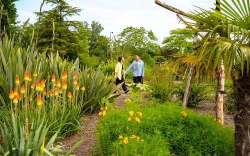 Utrecht Botanic Gardens
