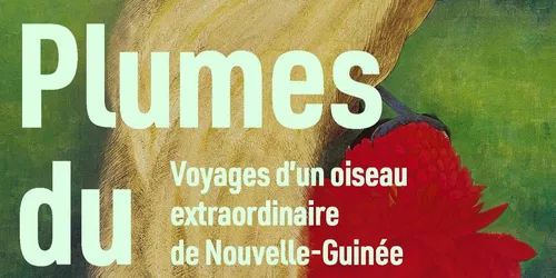 Plumas del Paraíso