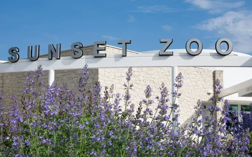Sunset Zoo