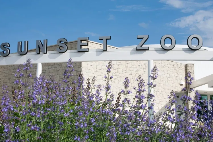 Sunset Zoo