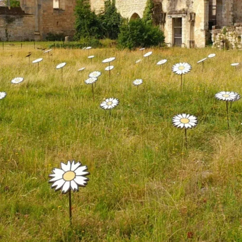 Floraison majeure