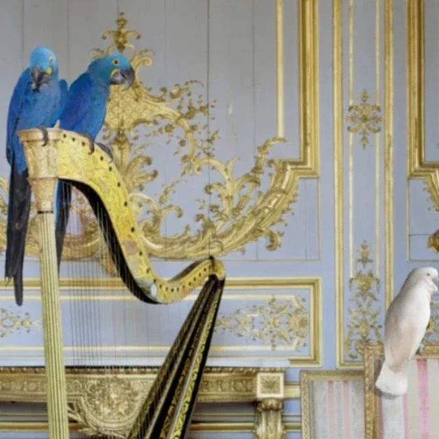 Karen Knorr Vive en el Castillo