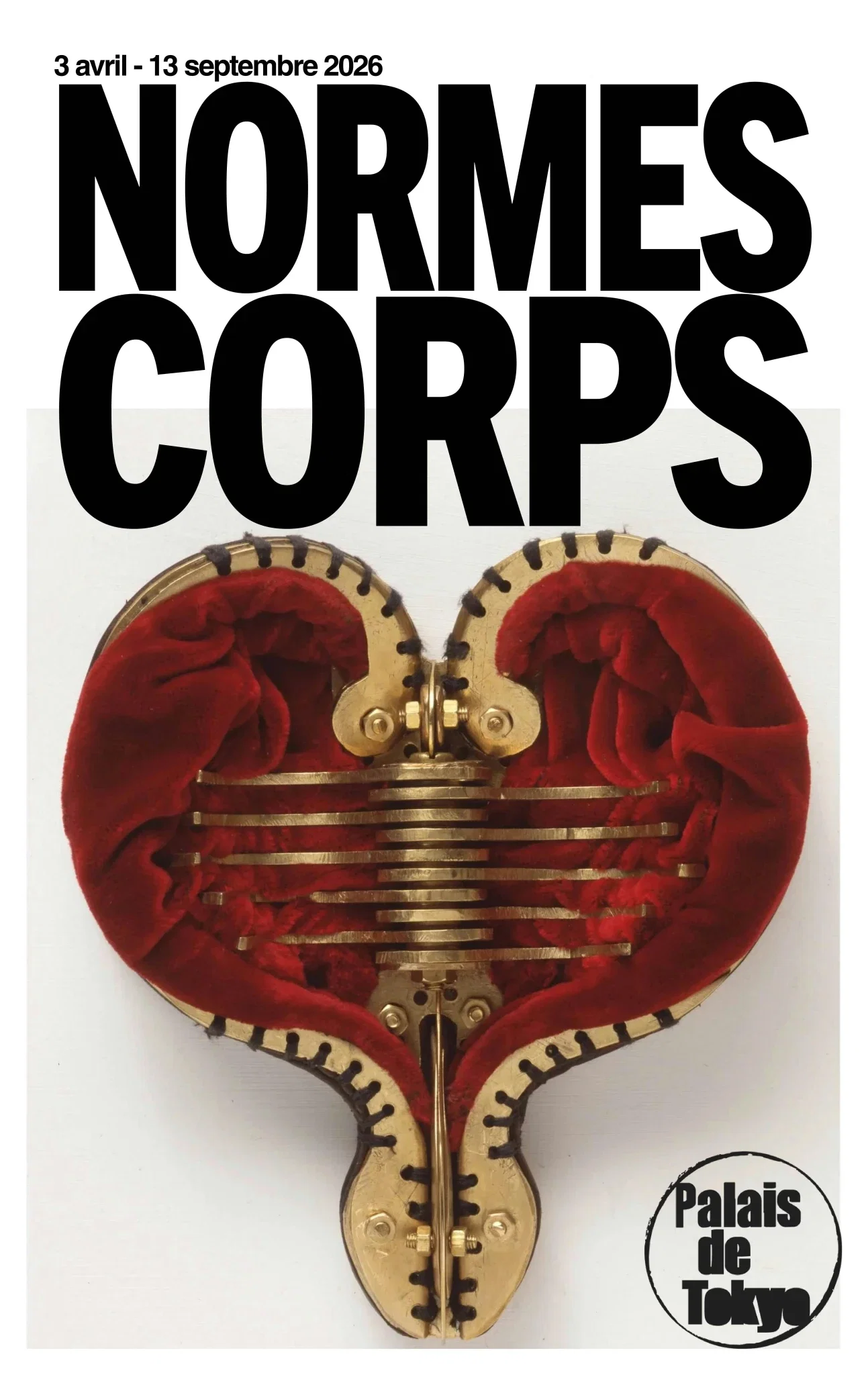 Cuerpo de Normes