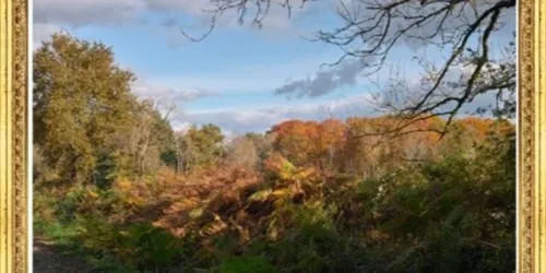 Des Arbres: Henri Peyre y Catherine Auguste