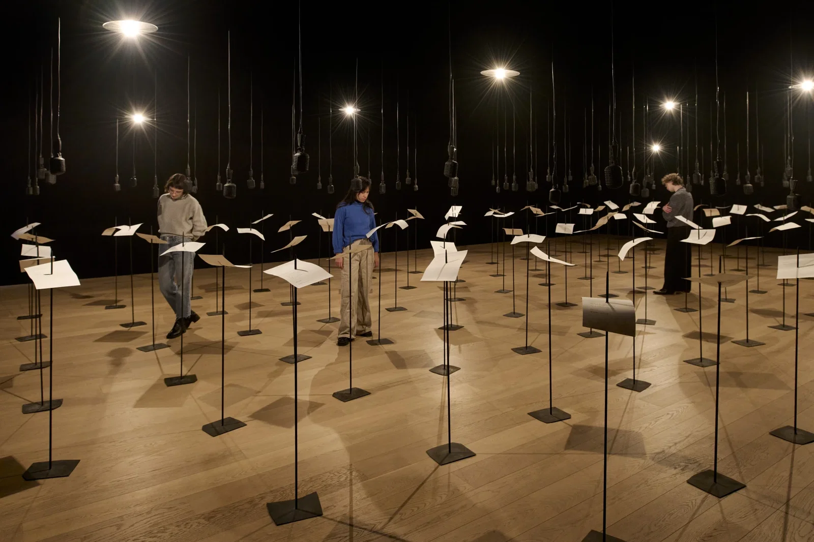 Shilpa Gupta - For, In Your Tongue, I Cannot Fit