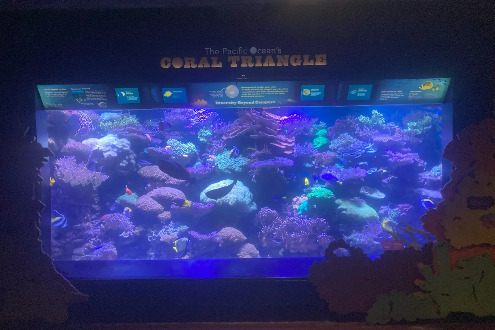 Aquarium de New York • Aspi* Korner