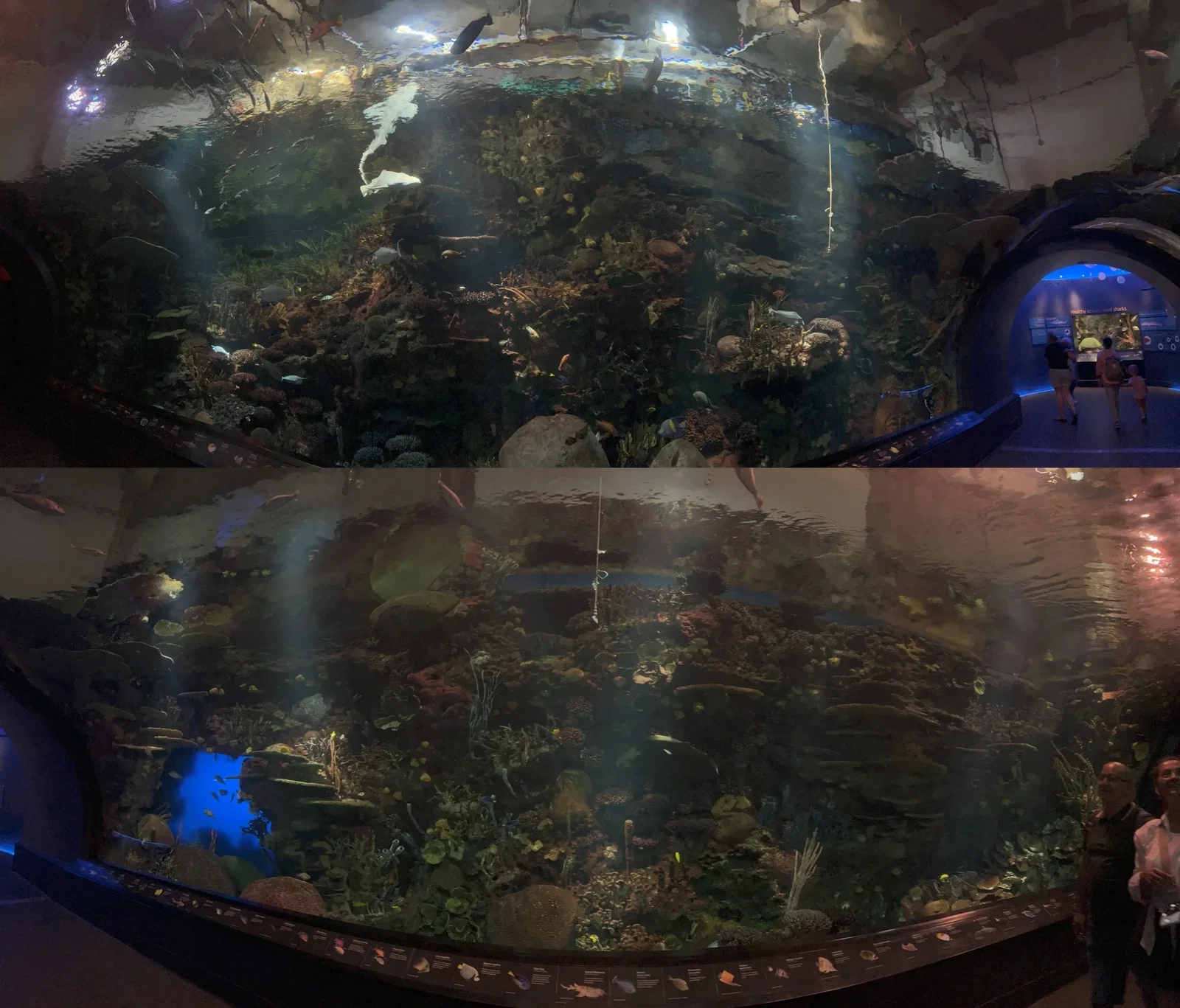 Aquarium de New York • Aspi* Korner