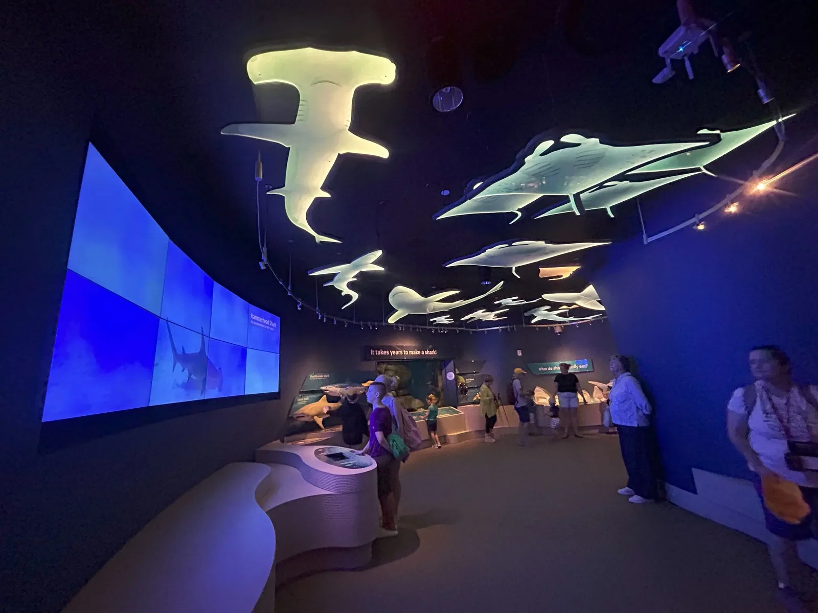 Aquarium de New York • Aspi* Korner