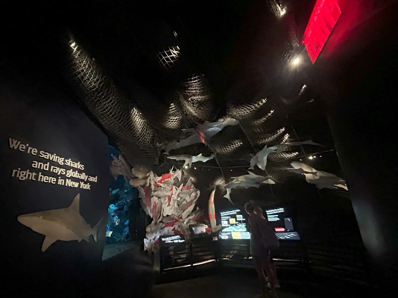 Aquarium de New York • Aspi* Korner