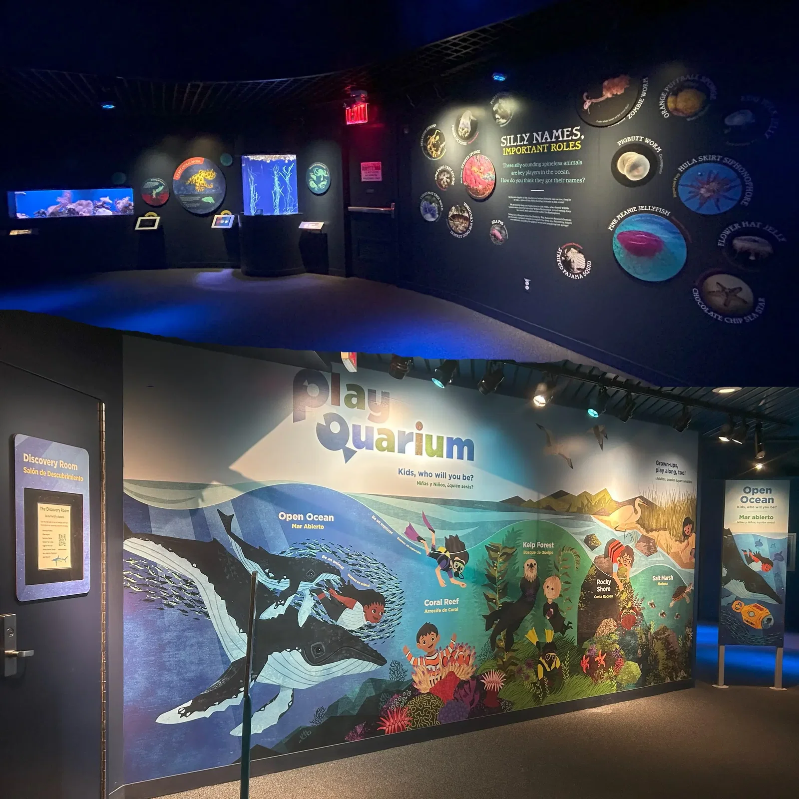 Aquarium de New York • Aspi* Korner