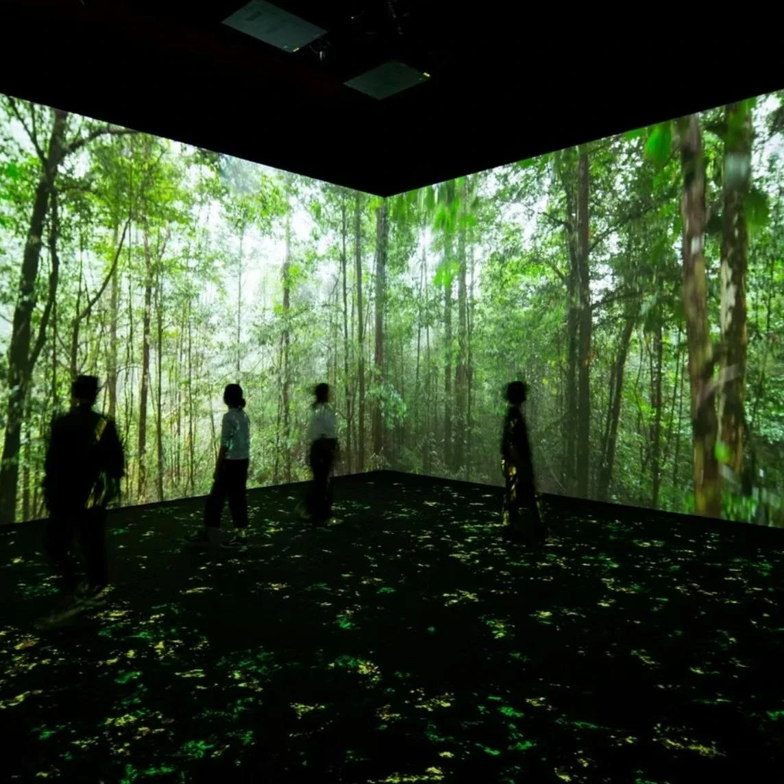 Vivid: Immerse Your Senses