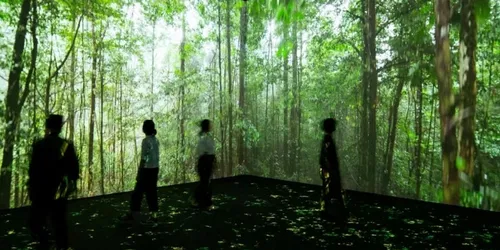 Vivid: Immerse Your Senses