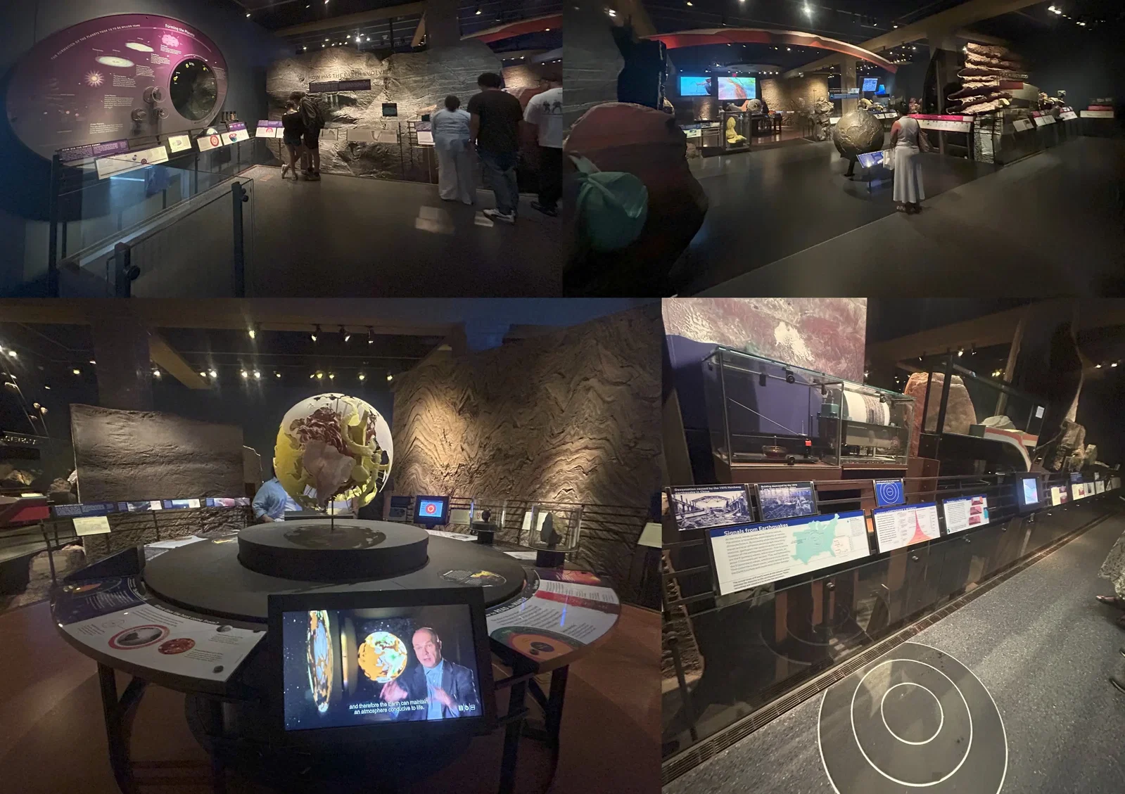 Musée américain d'histoire naturelle • Aspi* Korner