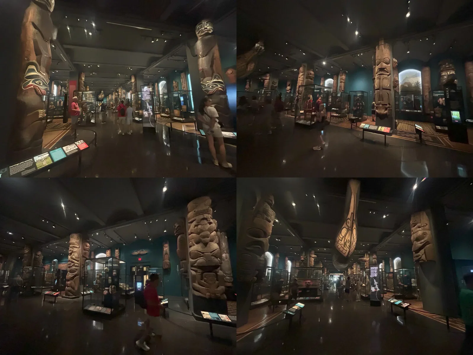 Musée américain d'histoire naturelle • Aspi* Korner