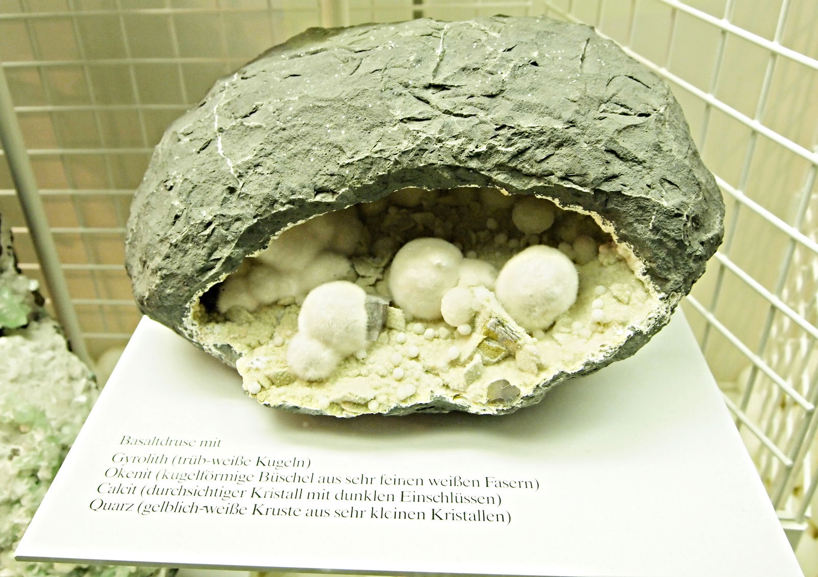 Museum Mensch und Natur