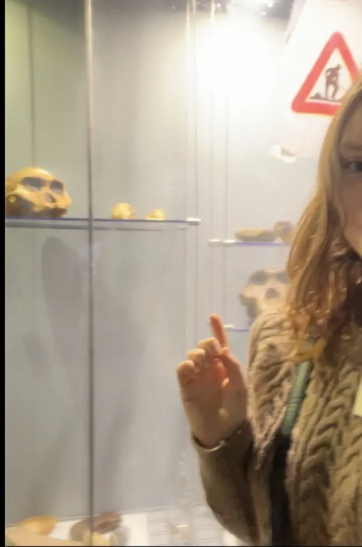 Natuurhistorisch Museum Boekenberg • Zoë