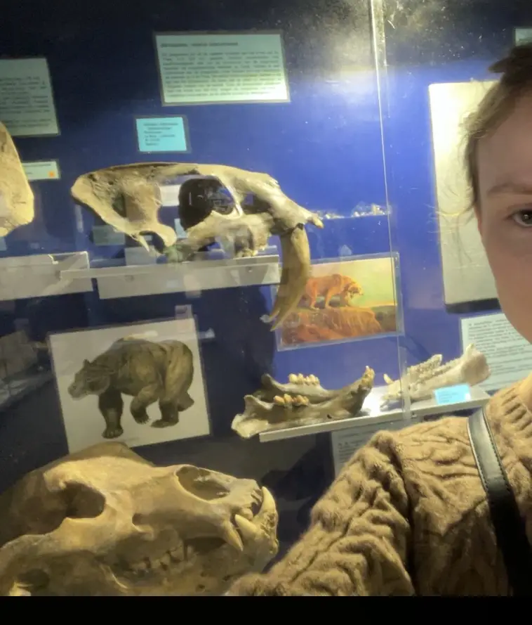 Natuurhistorisch Museum Boekenberg • Zoë
