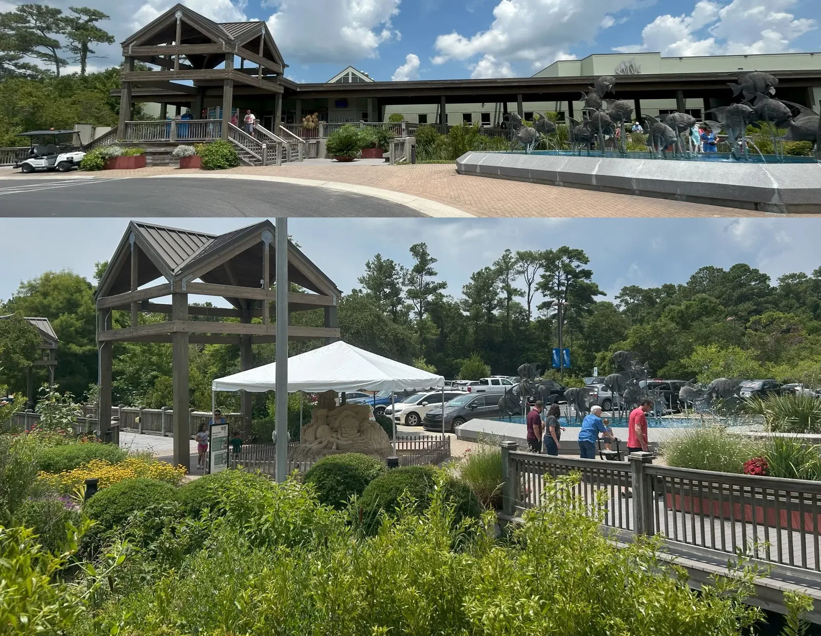North Carolina Aquarium At Pine Knoll Shores • Aspi* Korner