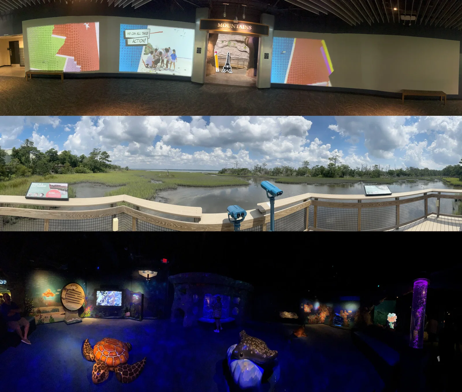 North Carolina Aquarium At Pine Knoll Shores • Aspi* Korner