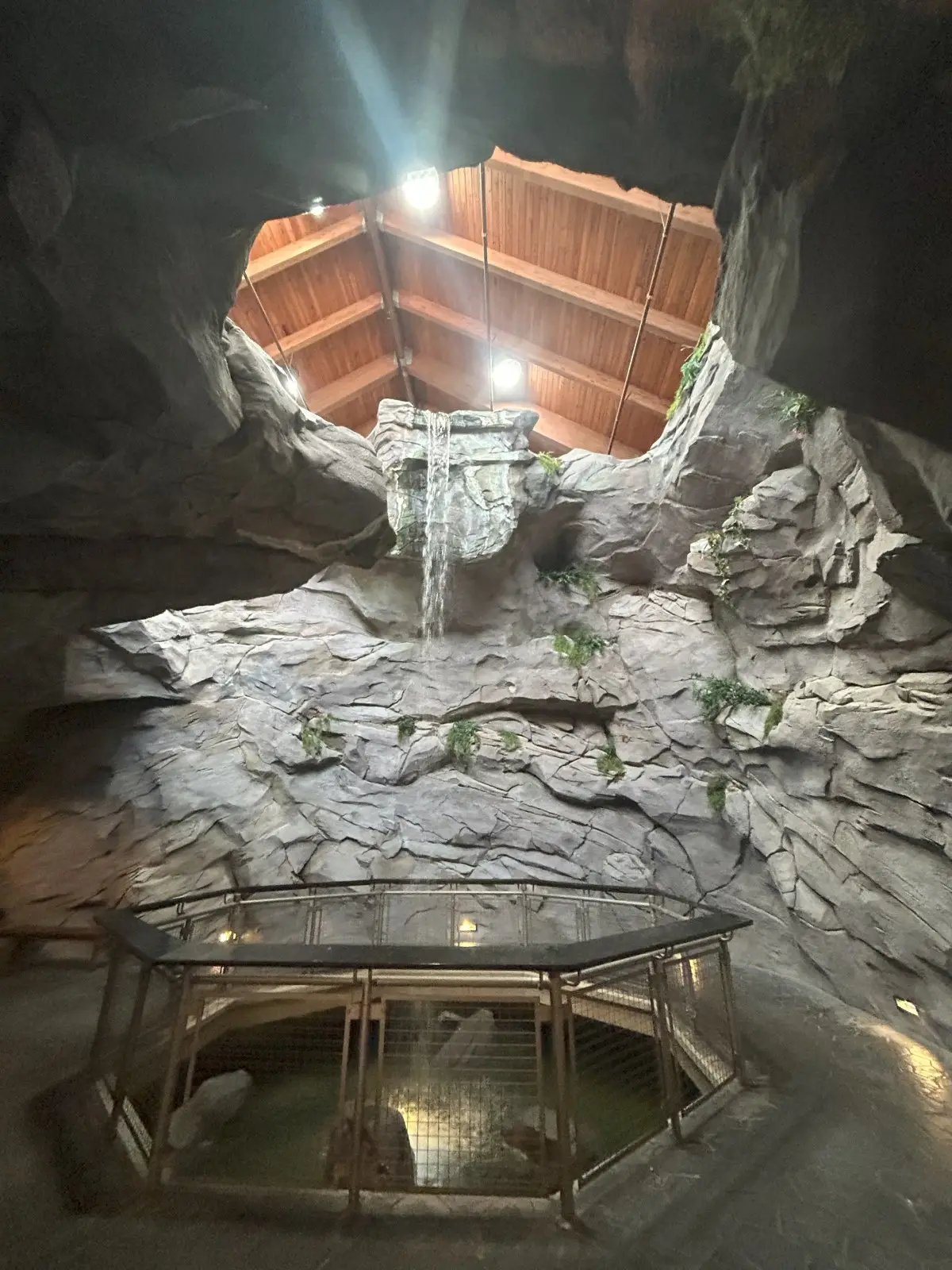 North Carolina Aquarium At Pine Knoll Shores • Aspi* Korner
