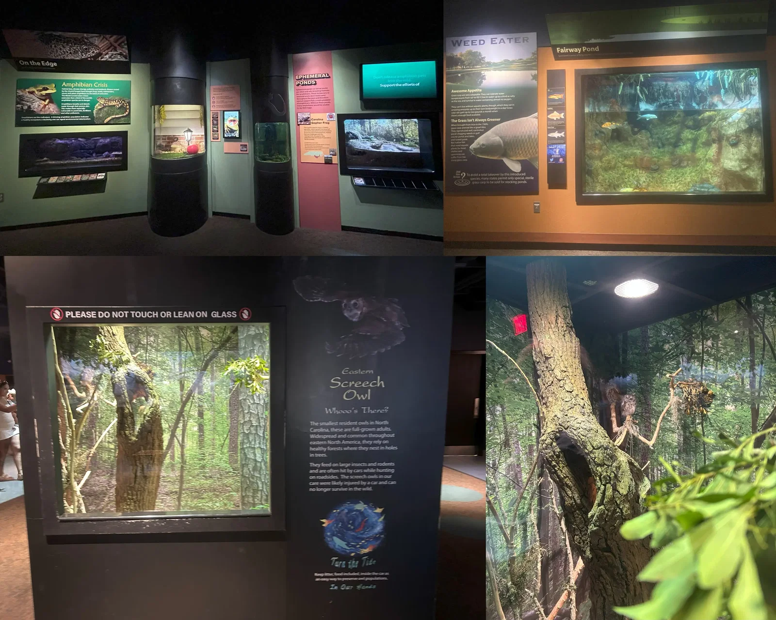 North Carolina Aquarium At Pine Knoll Shores • Aspi* Korner