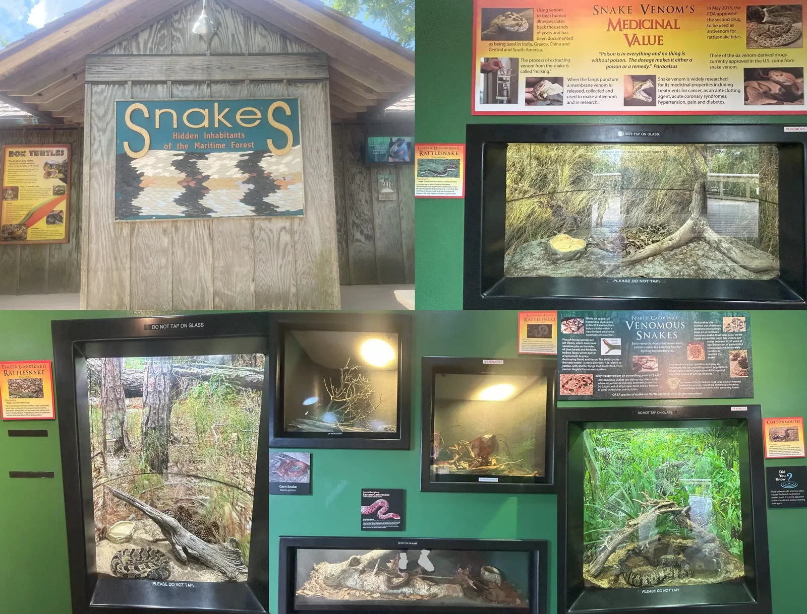 North Carolina Aquarium At Pine Knoll Shores • Aspi* Korner