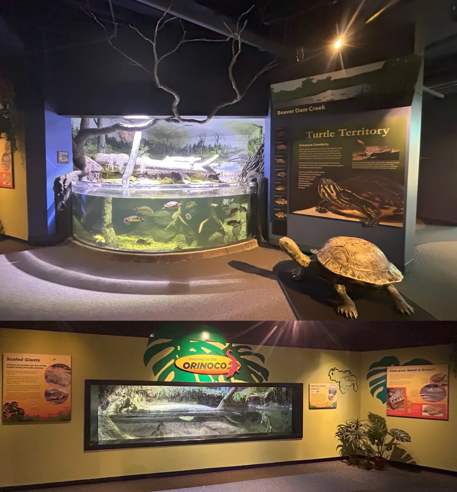 North Carolina Aquarium At Pine Knoll Shores • Aspi* Korner