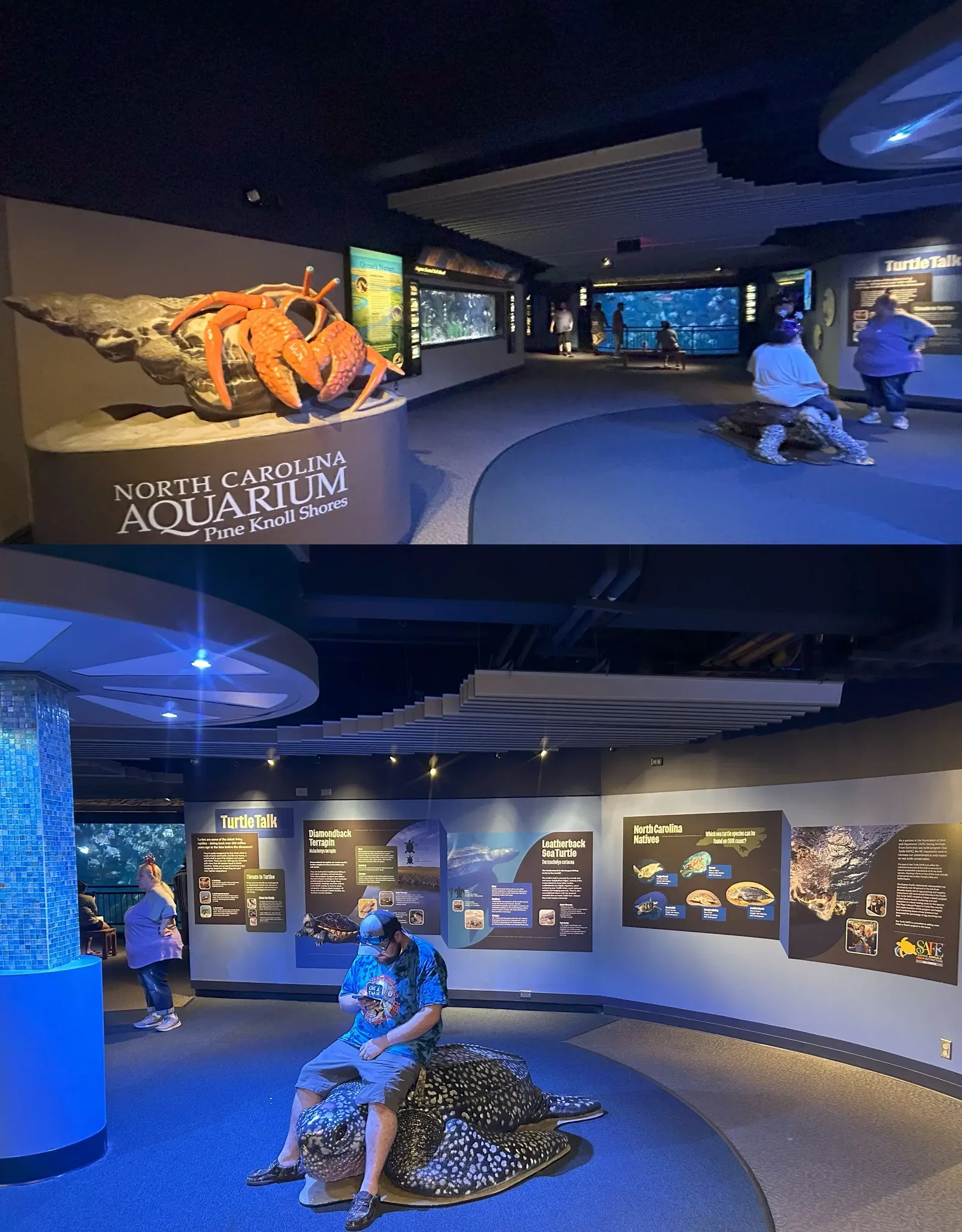 North Carolina Aquarium At Pine Knoll Shores • Aspi* Korner