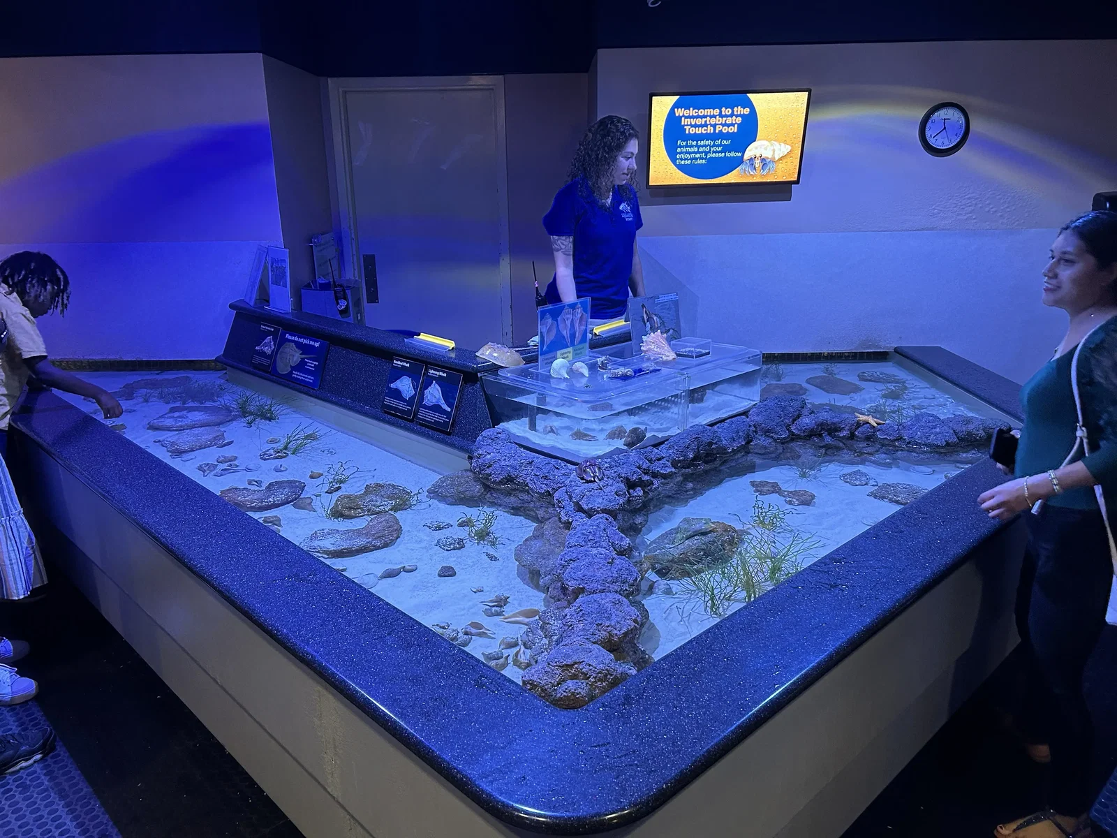 North Carolina Aquarium At Pine Knoll Shores • Aspi* Korner