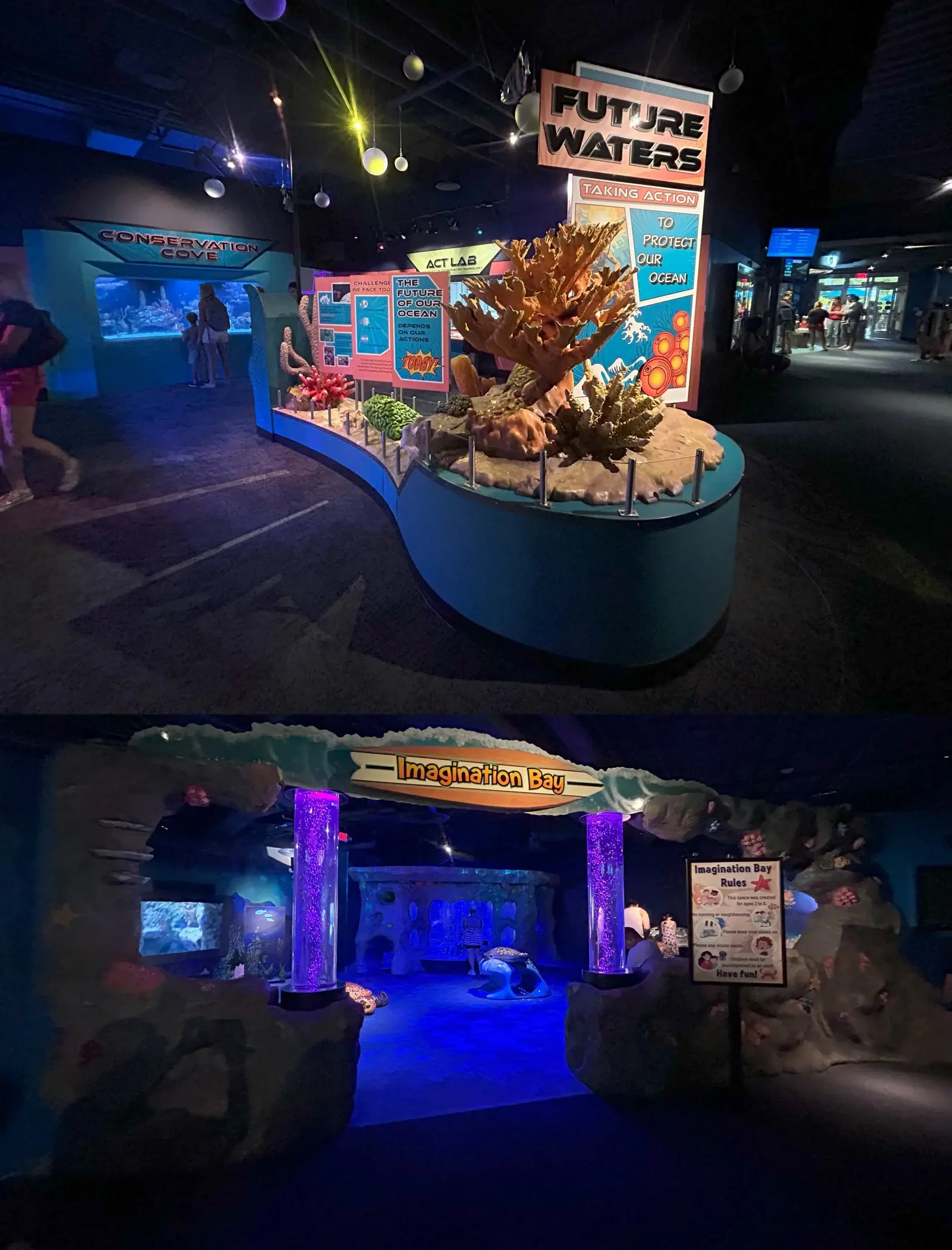North Carolina Aquarium At Pine Knoll Shores • Aspi* Korner