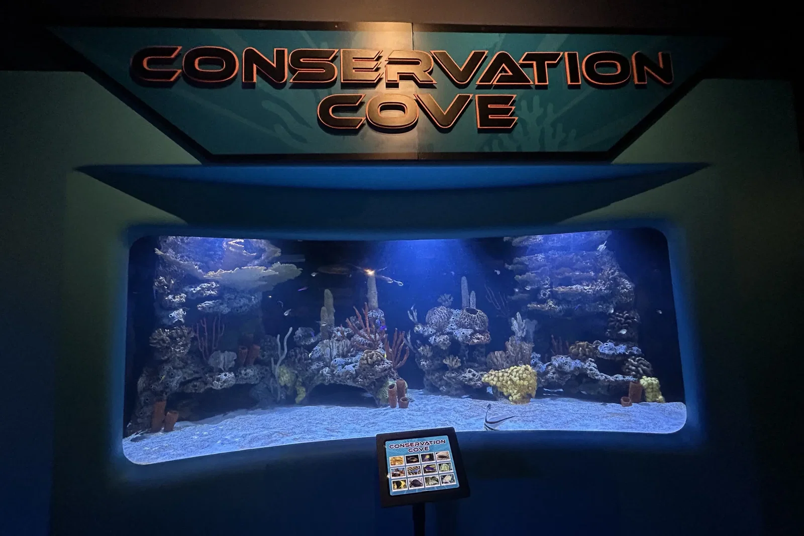 North Carolina Aquarium At Pine Knoll Shores • Aspi* Korner