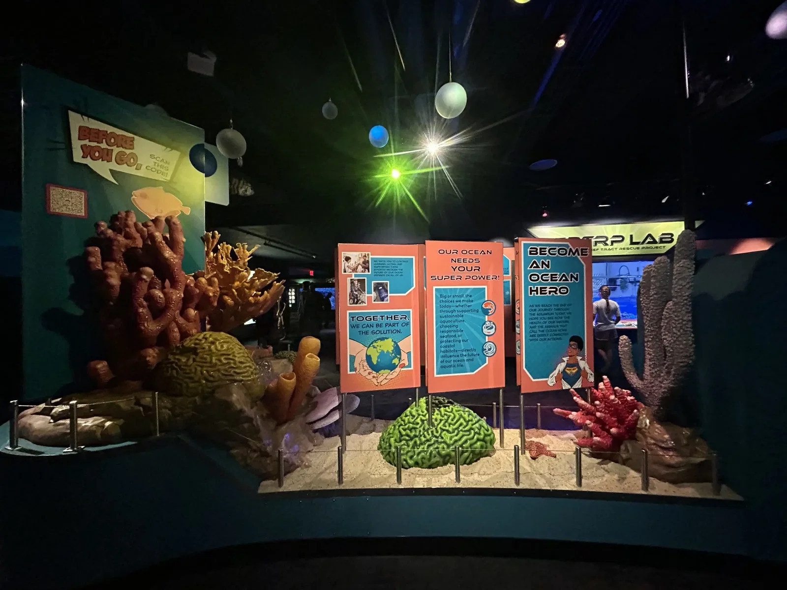 North Carolina Aquarium At Pine Knoll Shores • Aspi* Korner